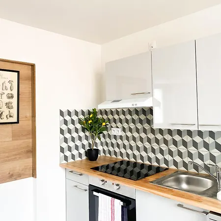 Apartment Le Grand 117 *